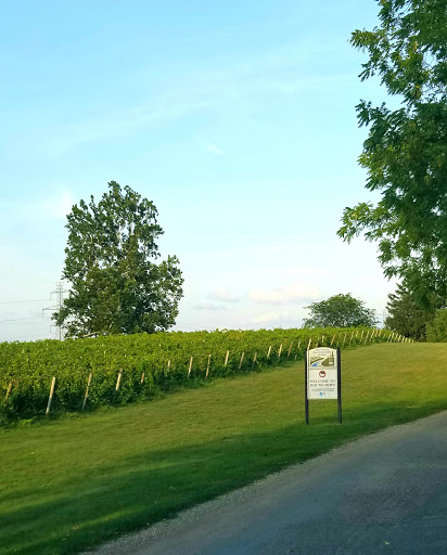 Winery «Round Barn Winery, Distillery & Brewery», reviews and photos, 10983 Hills Rd, Baroda, MI 49101, USA