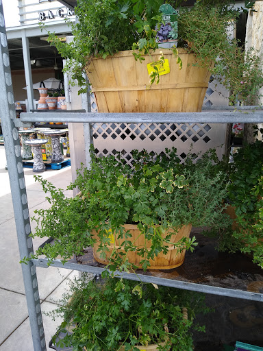 Grocery Store «H-E-B plus!», reviews and photos, 420 W Bandera Rd, Boerne, TX 78006, USA