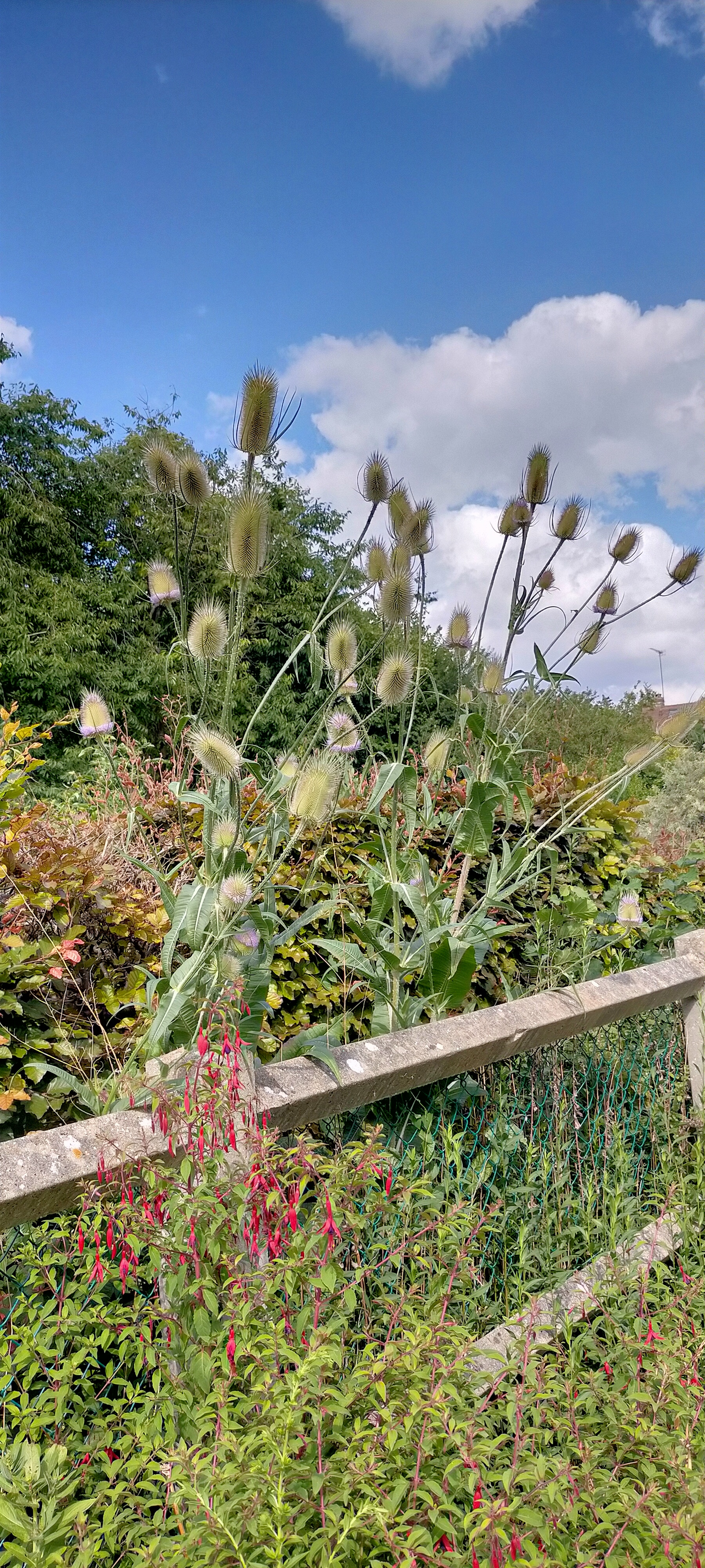 Photo n° 3 de l'avis de Muriel.a fait le 17/07/2023 à 01:28