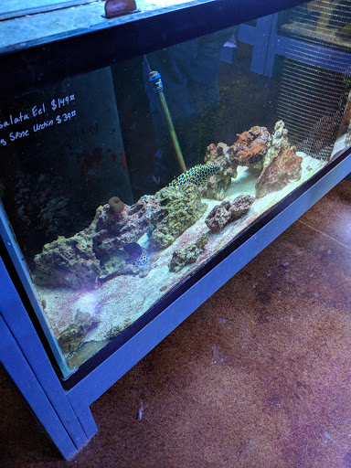 Pet Supply Store «Odyssey Pets», reviews and photos, 14999 Preston Rd #400a, Dallas, TX 75254, USA