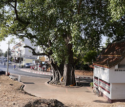 Si Phum Corner photo
