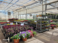 Smith's Gardentown - Photo 3 - Car repair in Wichita Falls, TX, Wichita Falls