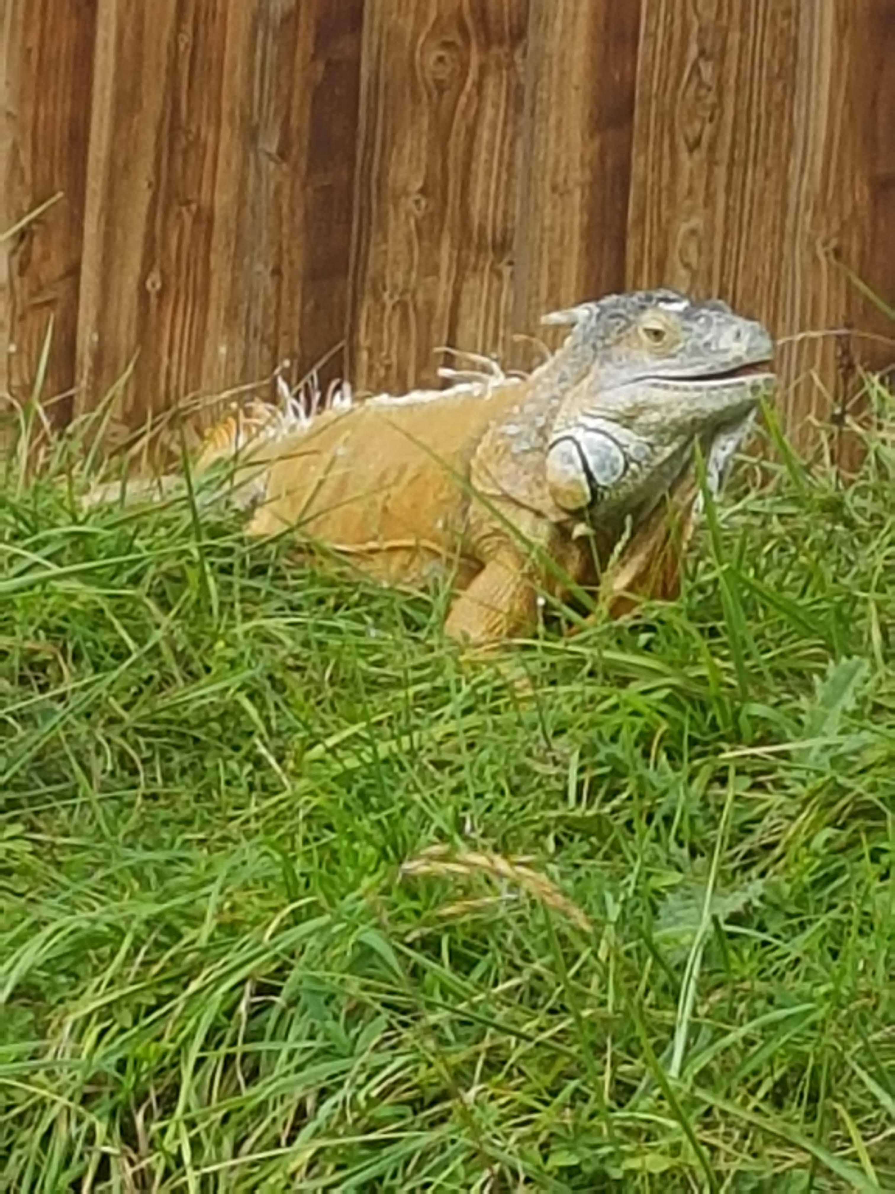 Photo n° 3 de l'avis de Laurent.E fait le 25/08/2018 à 22:09