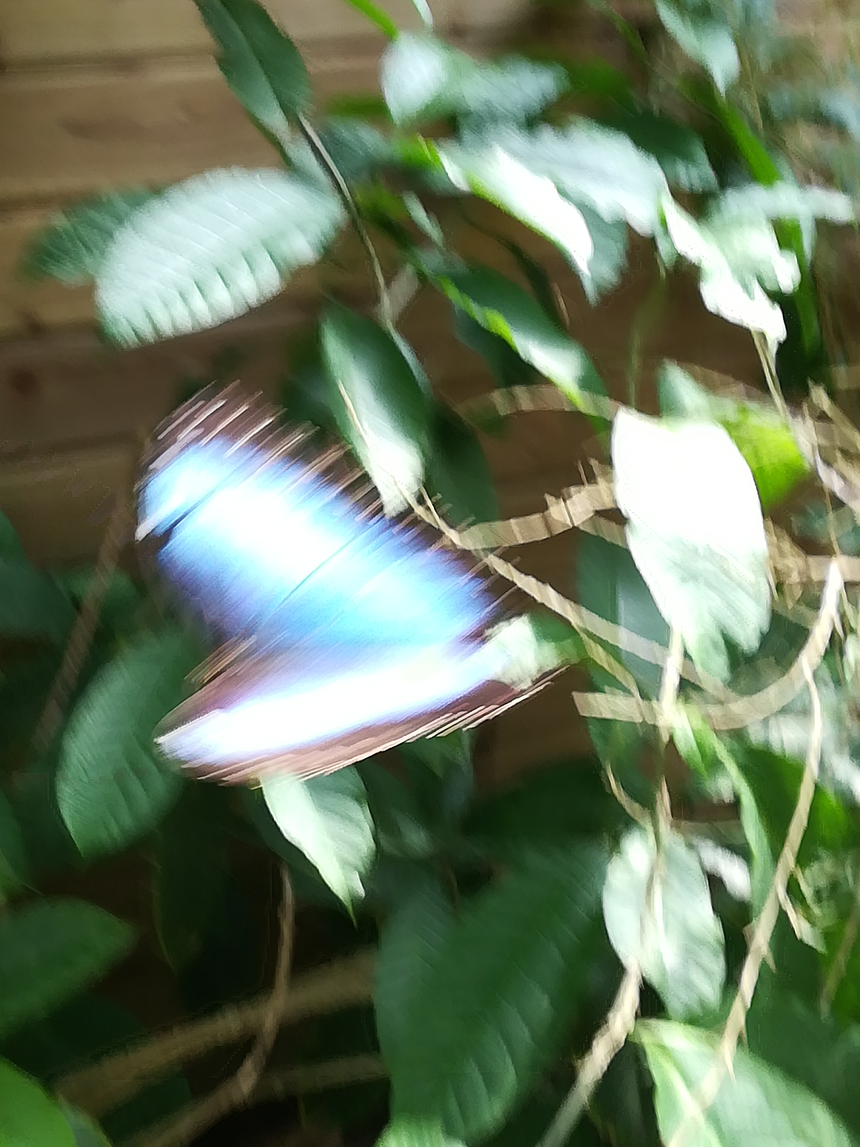 Photo n° 7 de l'avis de Kevin.a fait le 11/08/2019 à 20:37