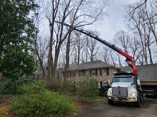 CS Tree Services Inc