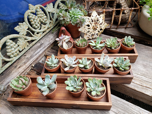 Wedding Venue «Red Cedar Farm», reviews and photos, 27054 NW Lofall Rd, Poulsbo, WA 98370, USA