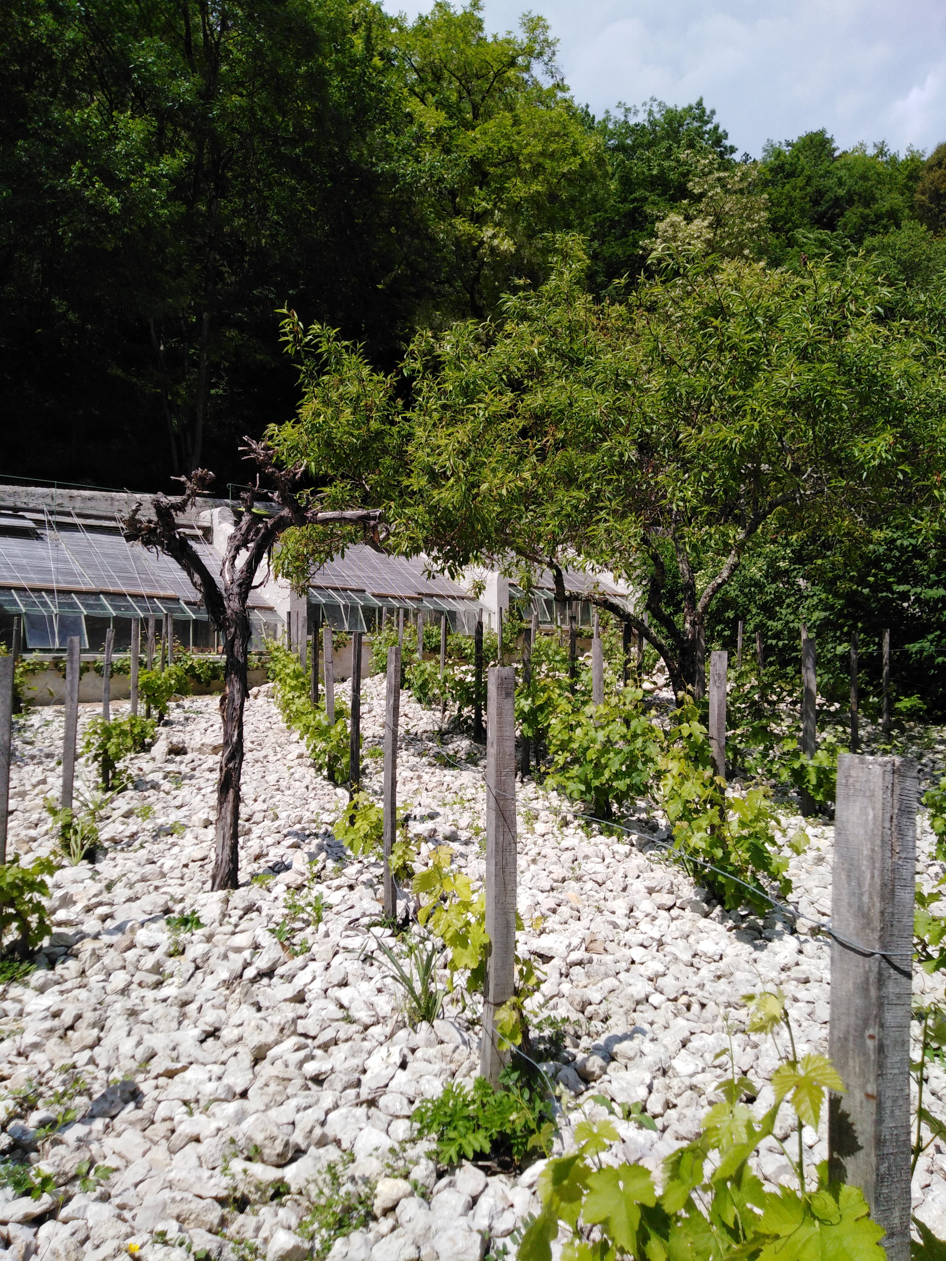 Photo n° 23 de l'avis de Josette.i fait le 07/06/2019 à 07:16