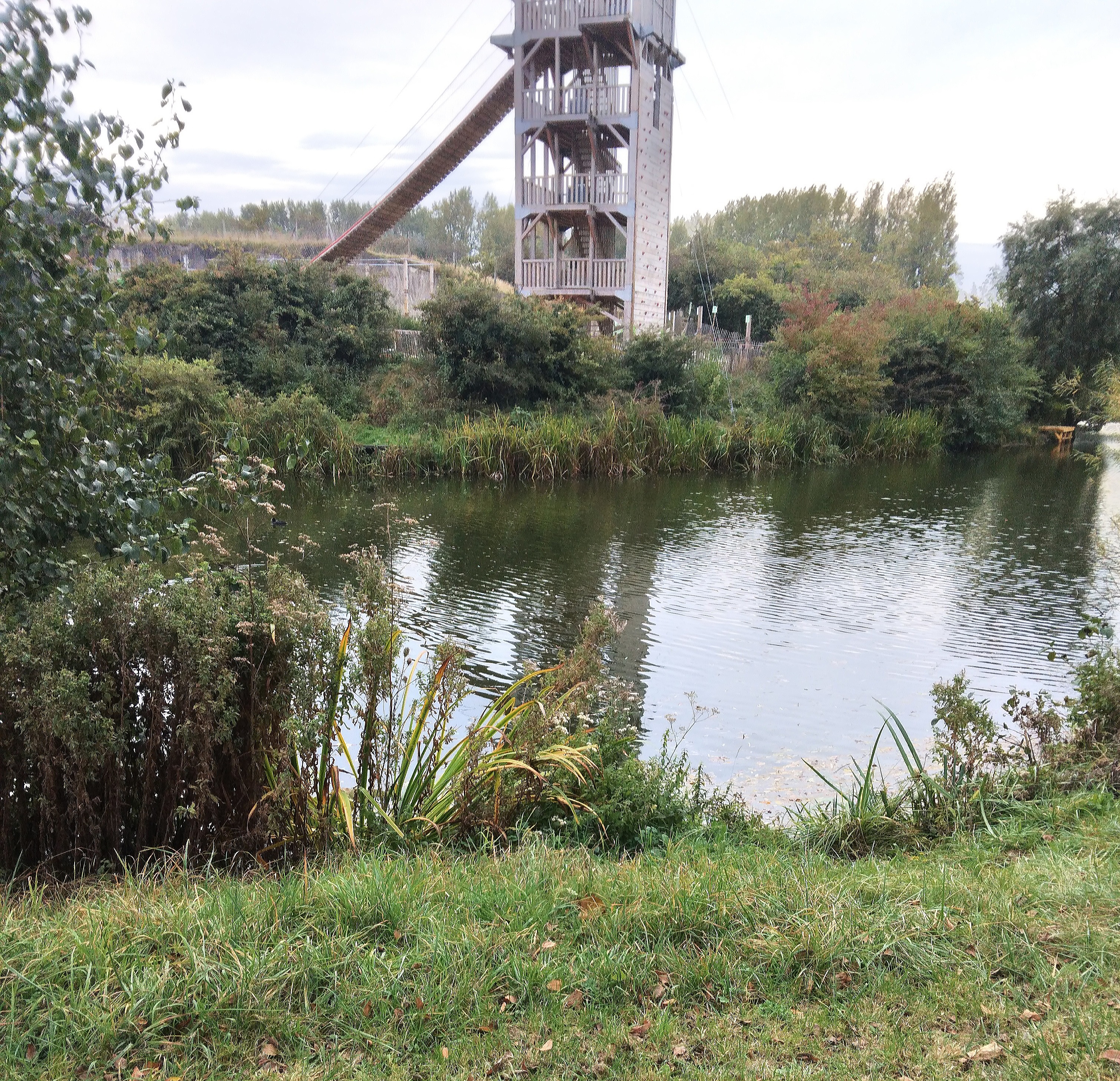 Photo n° 6 de l'avis de Sylvie.e fait le 18/10/2021 à 20:21