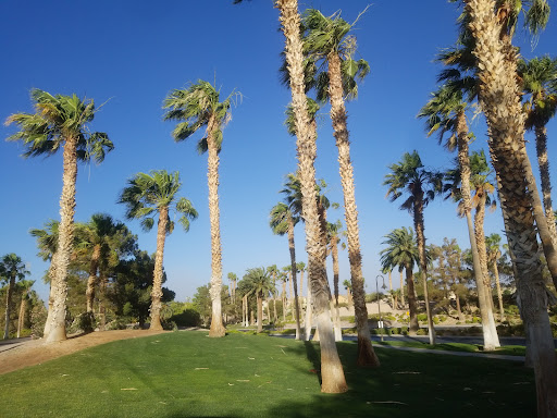 Golf Course «Rhodes Ranch Golf Club», reviews and photos, 20 E Rhodes Ranch Pkwy, Las Vegas, NV 89148, USA