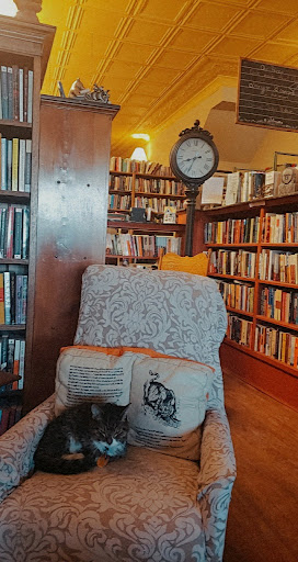Used Book Store «Thimbleberry Books», reviews and photos, 166 S Central Ave, Marshfield, WI 54449, USA