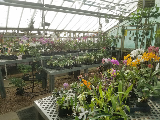 Florist «Little Brook Orchids», reviews and photos, 25 Rider Ave, Lancaster, PA 17603, USA