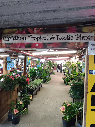 Christine's Tropical & Exotic Plants