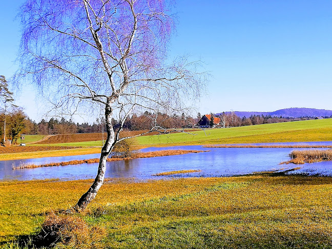 Kommentare und Rezensionen über Regionaler Naturpark Schaffhausen