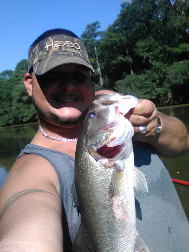 Sporting Goods Store «Irby Street Sporting Goods», reviews and photos, 1333 S Irby St # A, Florence, SC 29505, USA