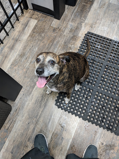 Pet Store «Pet Valu», reviews and photos, 4727 Freemansburg Ave, Bethlehem, PA 18020, USA