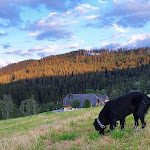 Photo n°2 de l'avis de Elisa.e fait le 13/07/2020 à 19:21 sur le  Gasthaus Zum Engel à Hinterzarten