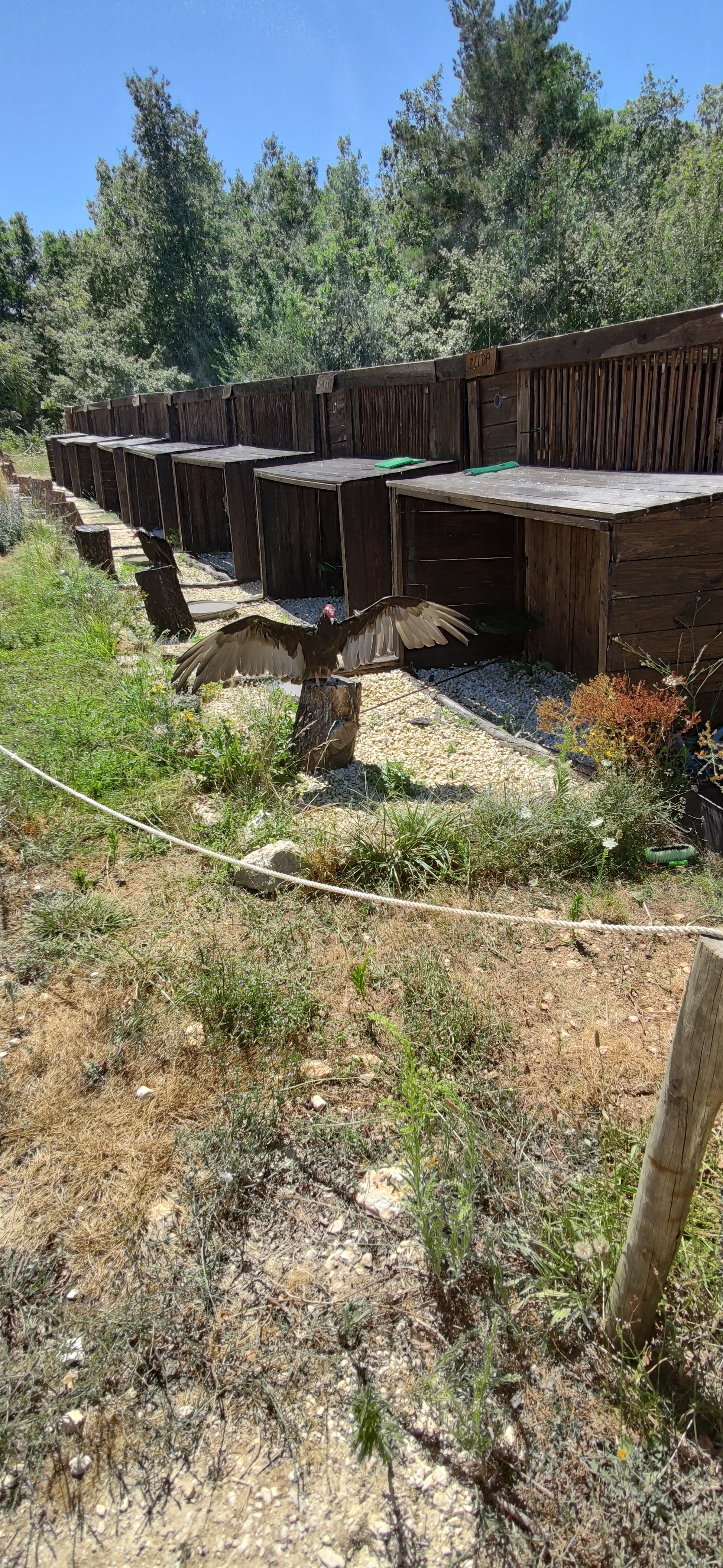 Photo n° 2 de l'avis de blanc.l fait le 13/08/2020 à 11:47