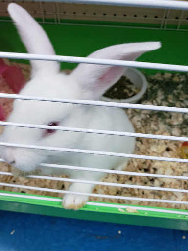 Pet Store «V.I. Pets», reviews and photos, 11975 E Lakewood Blvd, Holland, MI 49424, USA