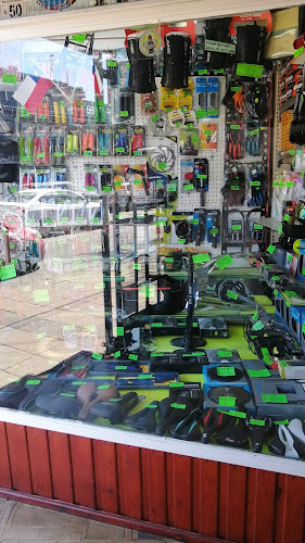 Opiniones de Salvo Bicicletas en Chillán - Tienda de bicicletas