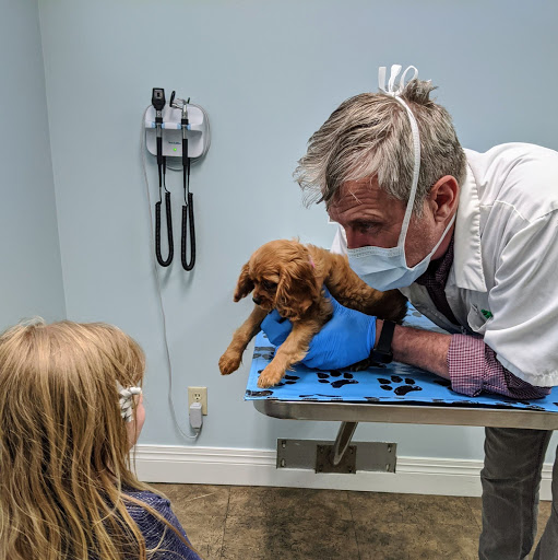 Pet Medical Services image