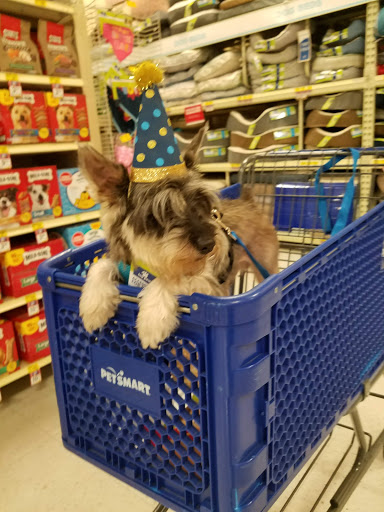 Pet Supply Store «PetSmart», reviews and photos, 6019 Wade Hampton Blvd, Taylors, SC 29687, USA