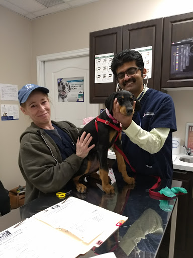 Simcoe Rossland Animal Hospital image