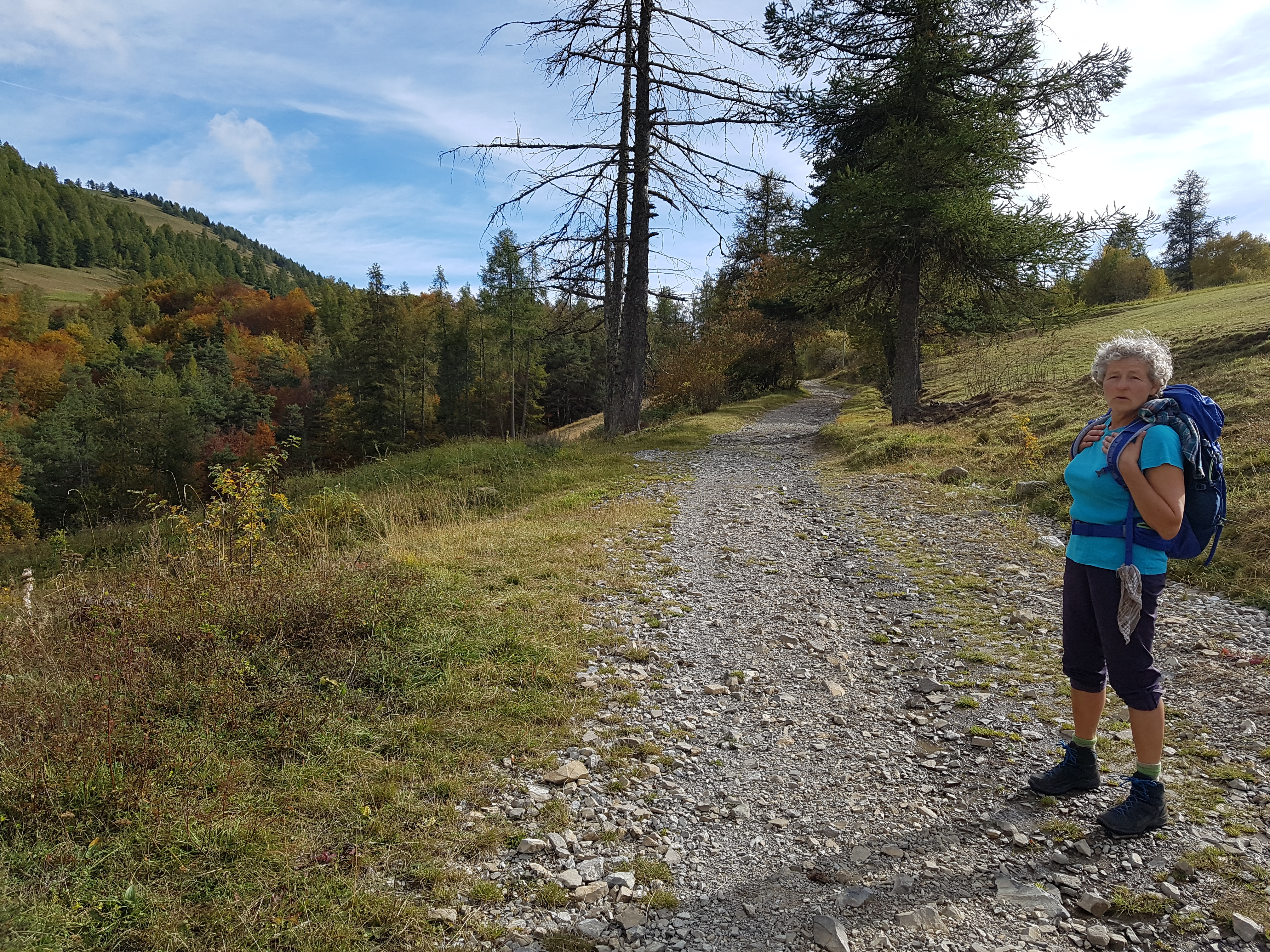 Photo n° 1 de l'avis de Siegfried.c fait le 14/10/2018 à 18:23