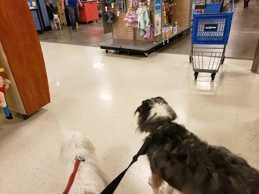 Pet Supply Store «PetSmart», reviews and photos, 8105 Moores Ln Ste 1300, Brentwood, TN 37027, USA