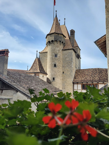 Kommentare und Rezensionen über Château d’Aigle