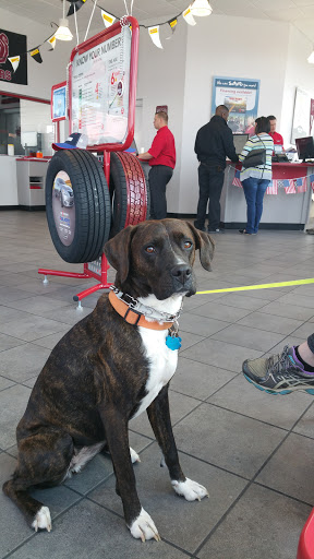 Tire Shop «Discount Tire Store - Springfield, MO», reviews and photos, 3670 S Glenstone Ave, Springfield, MO 65804, USA