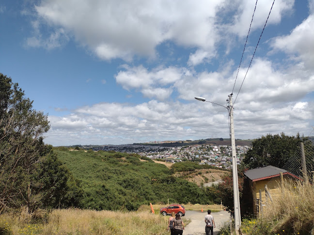 Comentarios y opiniones de Cabañas Chiloé 360