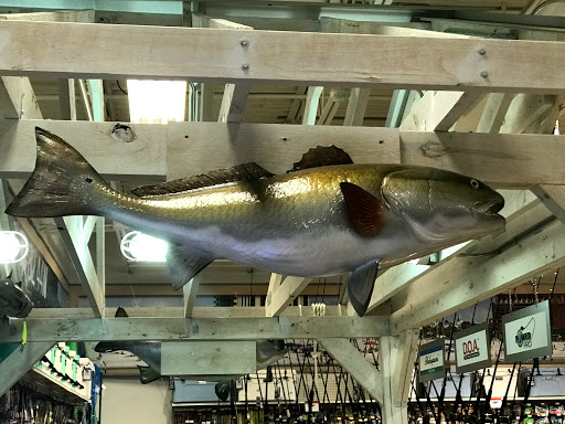 Marine Supply Store «West Marine», reviews and photos, 41286 US Hwy 19 N, Tarpon Springs, FL 34689, USA