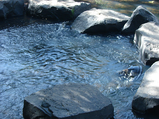 Park «Noble Woods Park», reviews and photos, 475 SE Century Blvd, Hillsboro, OR 97123, USA