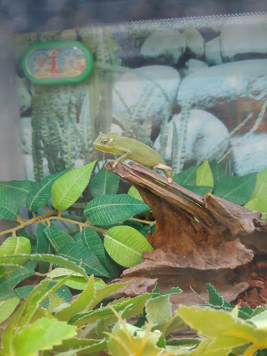 Pet Supply Store «Pet Supplies Plus», reviews and photos, 14839 Detroit Ave, Lakewood, OH 44107, USA