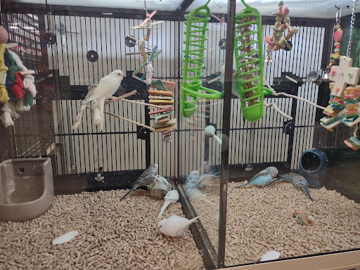 Pet Supply Store «PetSmart», reviews and photos, 2101 NJ-35, Holmdel, NJ 07733, USA