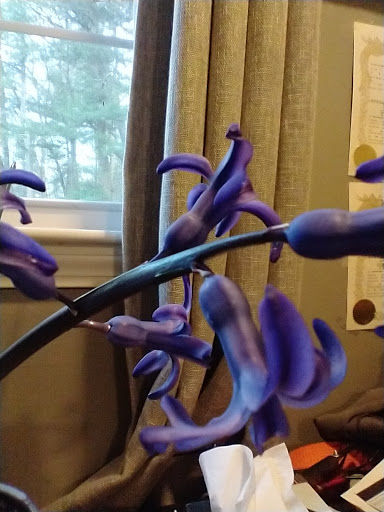 Clothing Store «Patagonia Boston», reviews and photos, 346 Newbury St, Boston, MA 02115, USA