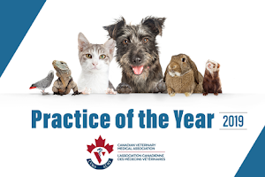 Veterinary Specialty Centre Of Newfoundland and Labrador image