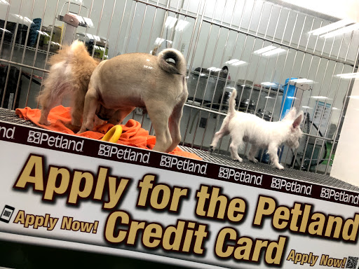 Pet Store «Petland Lewis Center», reviews and photos, 86 Meadow Park Ave, Lewis Center, OH 43035, USA