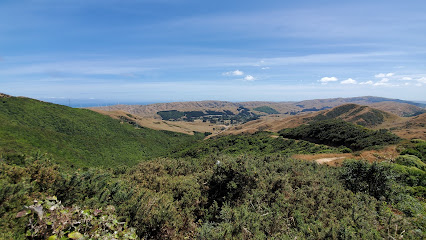 Northern Walkway trailhead - Johnsonville