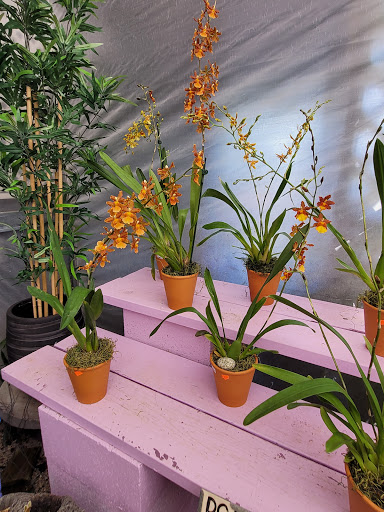 Wholesale Plant Nursery «Galloway Farm Nursery Inc.», reviews and photos, 7790 SW 87th Ave, Miami, FL 33173, USA