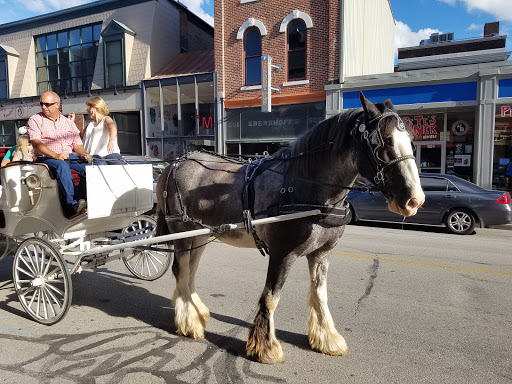 Live Music Venue «Lafayette Theater», reviews and photos, 600 Main St, Lafayette, IN 47901, USA