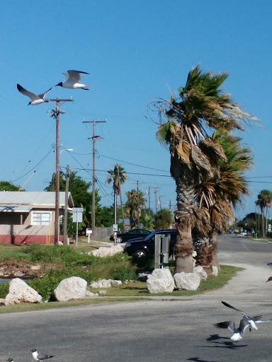 Tourist Attraction «Rockport Pier», reviews and photos, 1298 E Market St, Rockport, TX 78382, USA