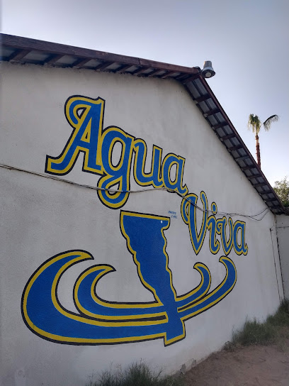 Agua Viva/Living Water