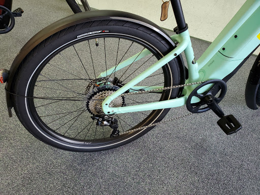 Bicycle Store «Chainwheel Drive», reviews and photos, 32796 US Hwy 19 N, Palm Harbor, FL 34684, USA