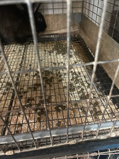 Animal Feed Store «Farmland Pets & Feed», reviews and photos, 9000 Silverdale Way NW, Silverdale, WA 98383, USA