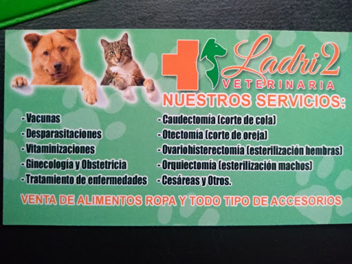 VETERINARIA LADRY 2