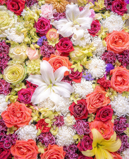 Hair Salon «Aylin Beauty Salon & Spa», reviews and photos, 820 E 41st St, Hialeah, FL 33013, USA