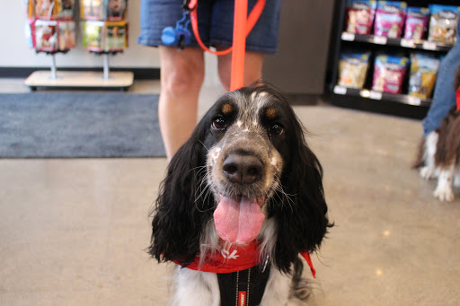 Pet Supply Store «Chuck & Don’s Pet Food & Supplies», reviews and photos, 335 Central Ave SE, Minneapolis, MN 55414, USA