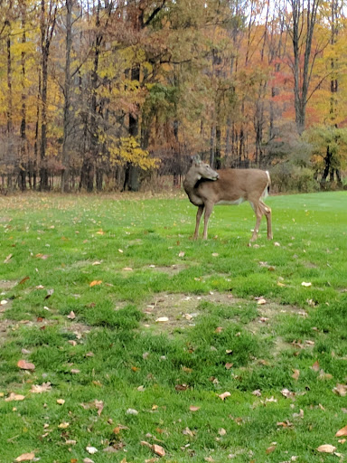 Golf Course «Shawnee Hills Golf Course», reviews and photos, 18753 Egbert Rd, Bedford, OH 44146, USA