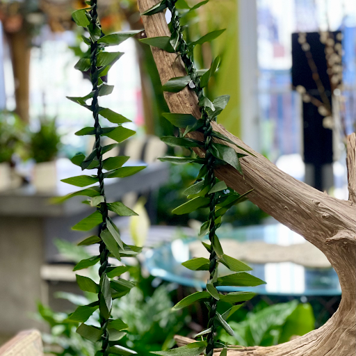 Florist «Spring Garden Flower Shop», reviews and photos, 211 Brooklyn Ave, San Antonio, TX 78215, USA